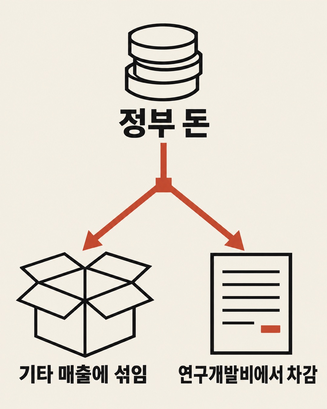 개념 그림: 정부 돈이 두 갈래로 나뉘어 한쪽은 기타 매출에 섞이고, 다른 쪽은 연구개발비에서 차감된다